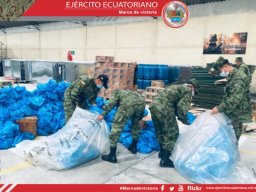 nota 3 Colog 25 1